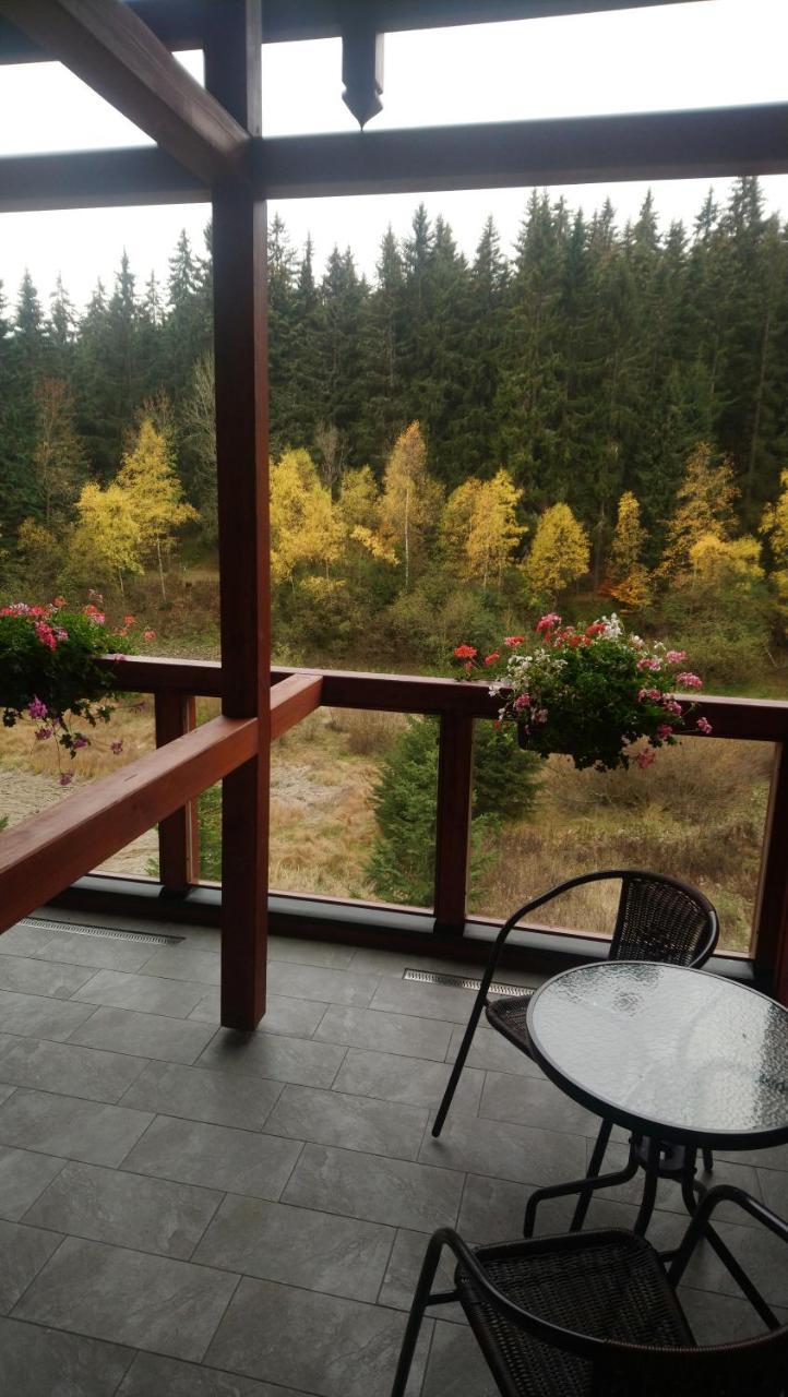 Jezírko Lesní Restaurant&penzion *